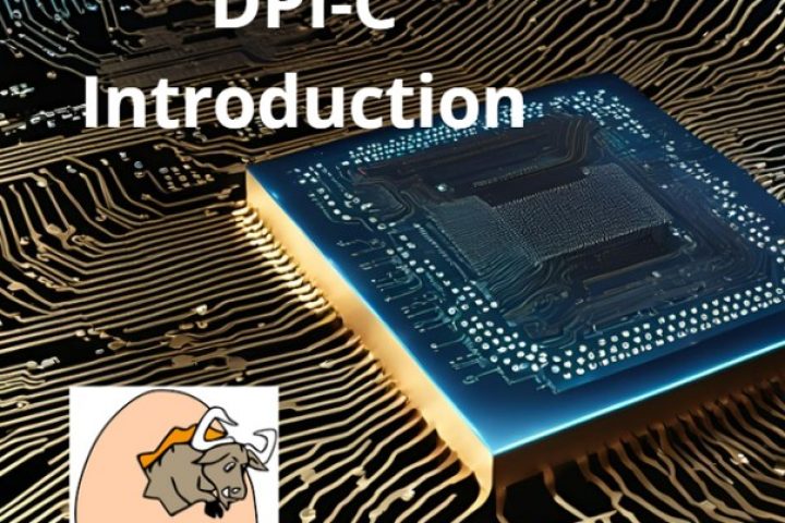 67a4e567266e08171b1f6355_SystemVerilog DPI